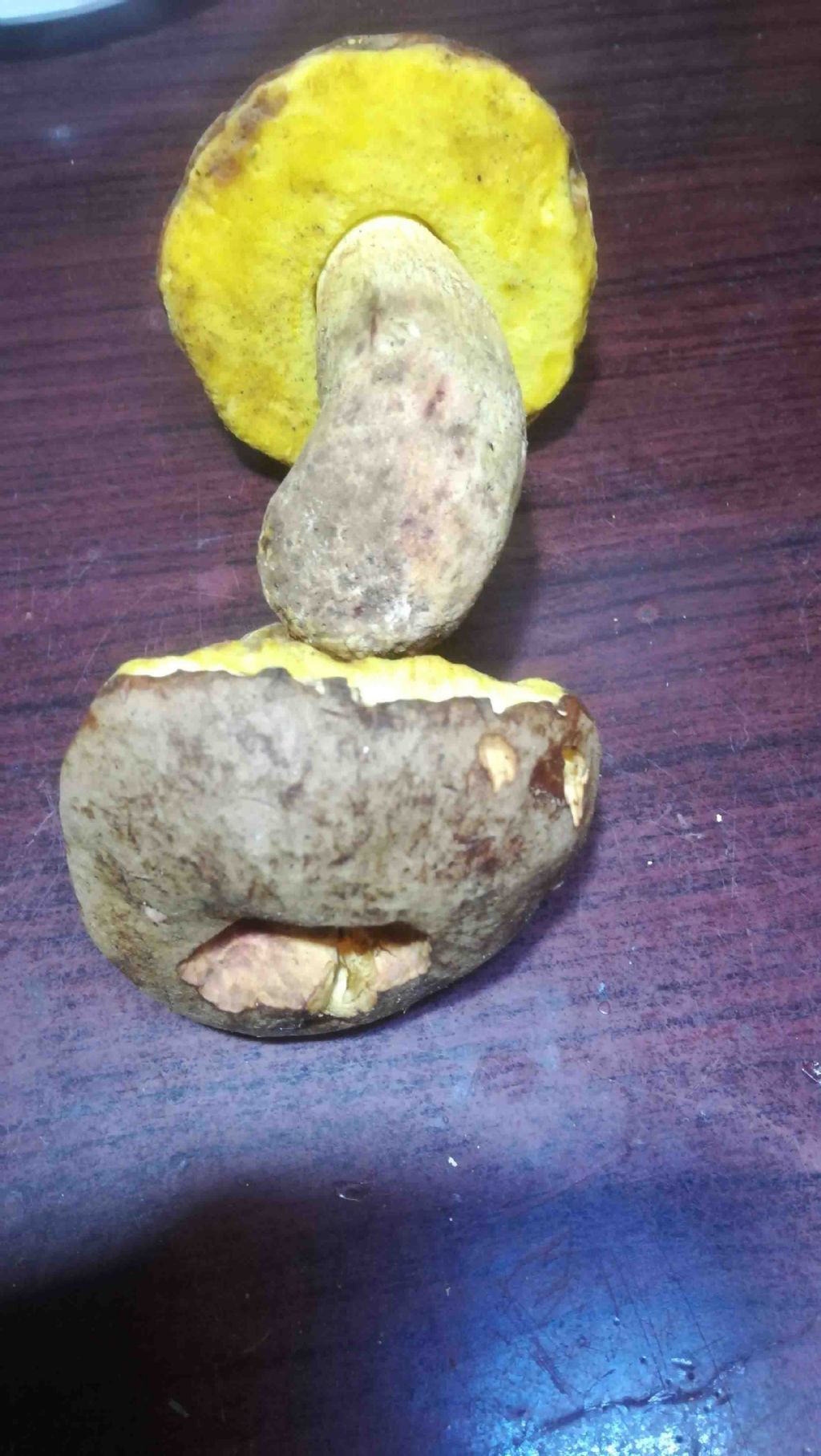 boleto specie?